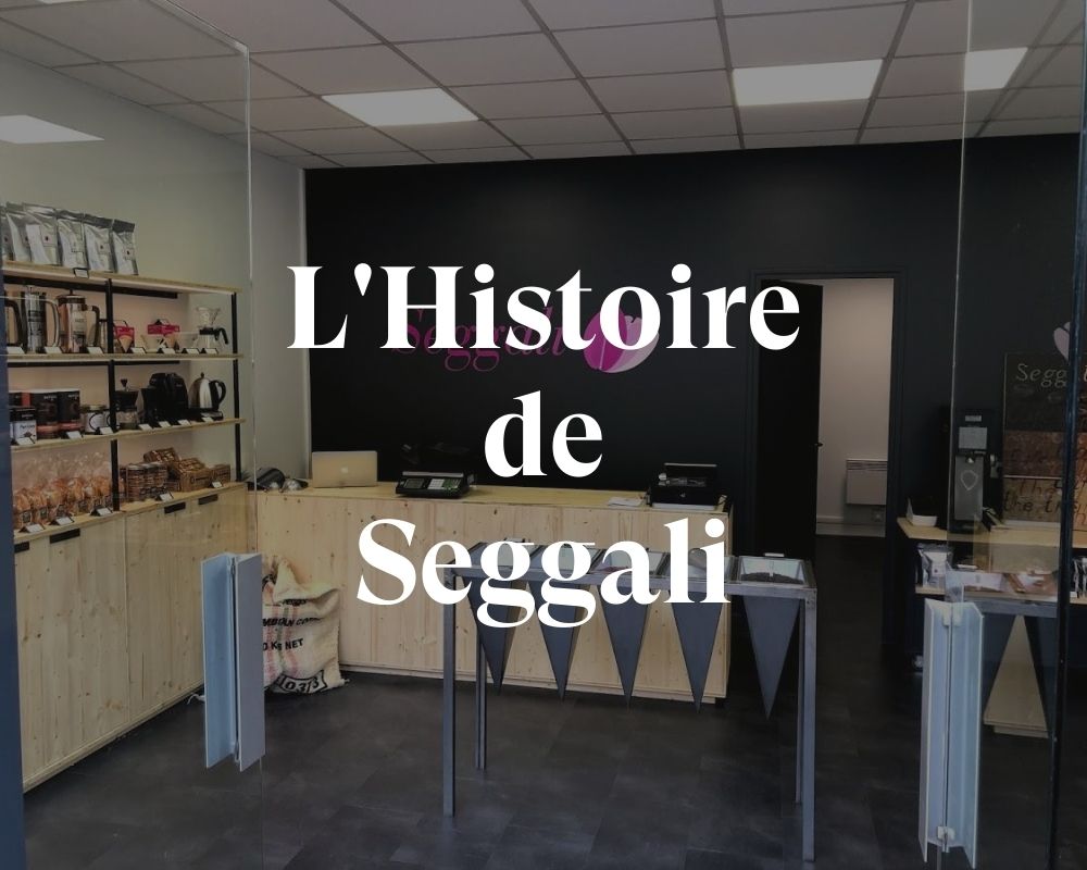 Il était une fois Seggali