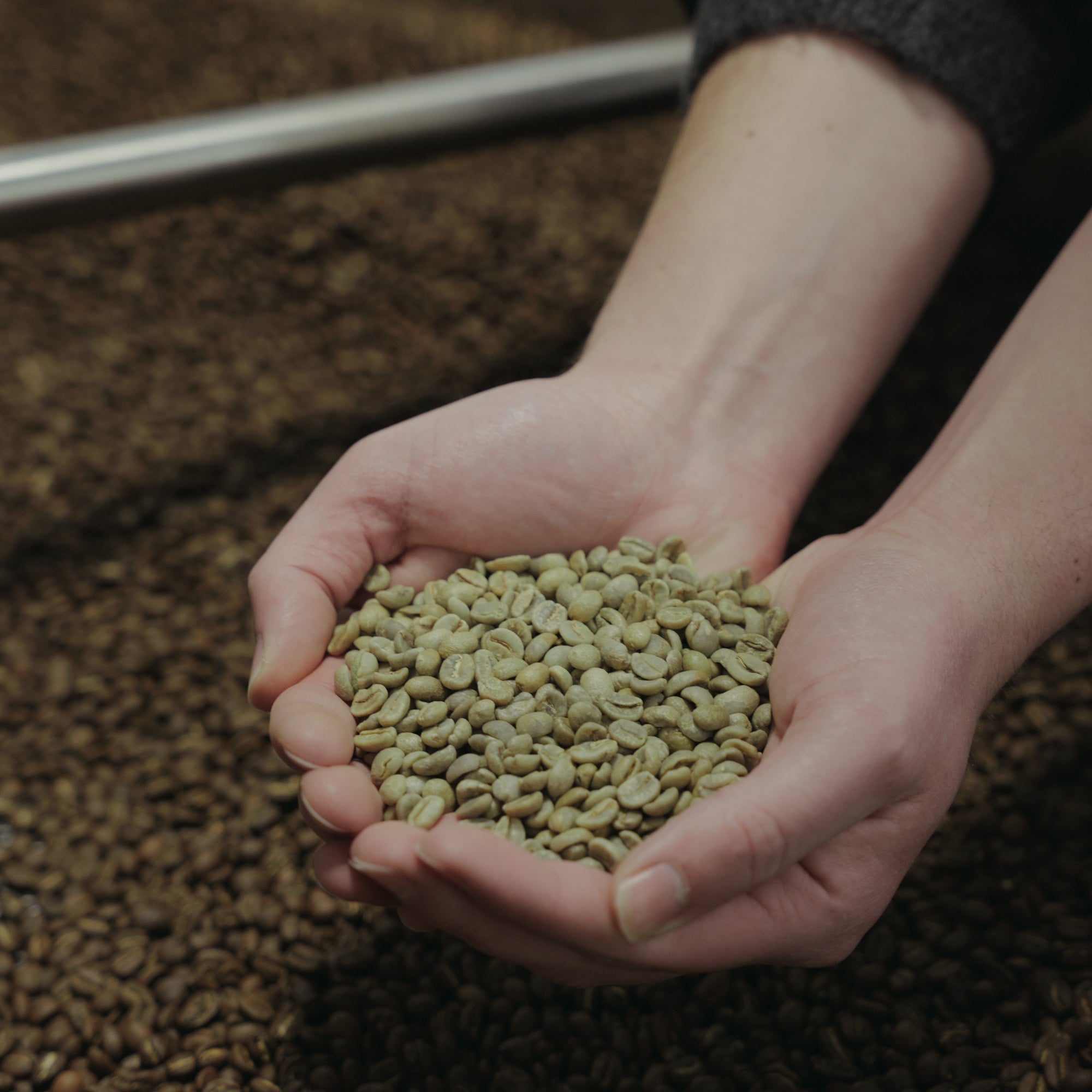 Grains de café verts posés sur un lit de grains torréfiés