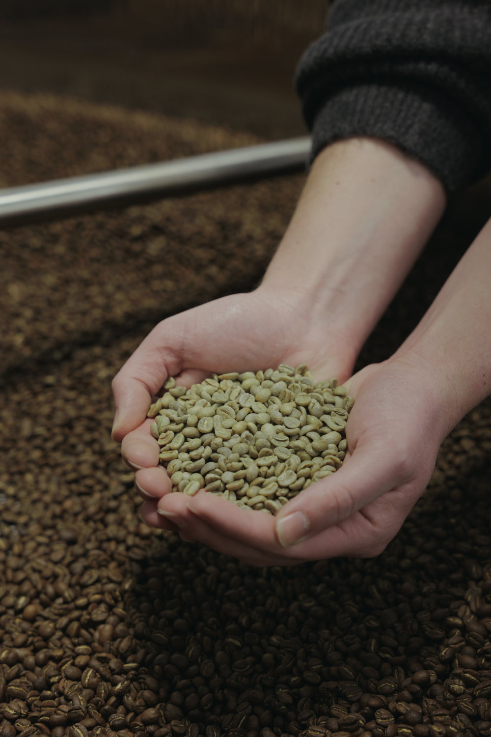 Grains de café verts posés sur un lit de grains torréfiés