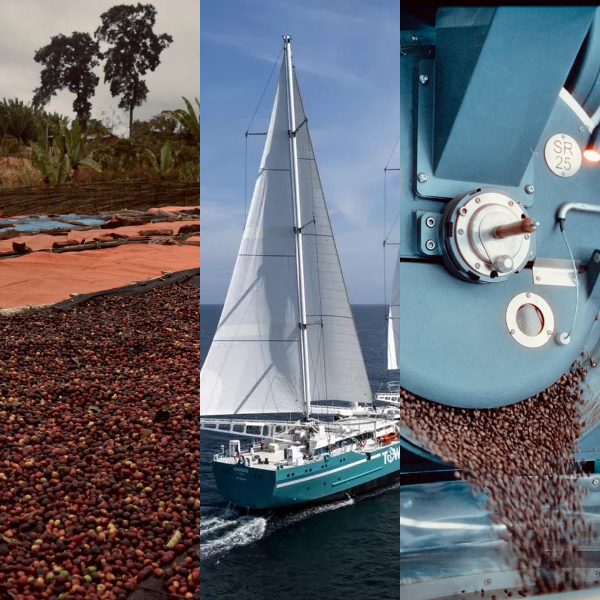 Triptyque montrant des grains de café fraîchement récoltés, un voilier transportant le café et un tambour de torréfaction en action