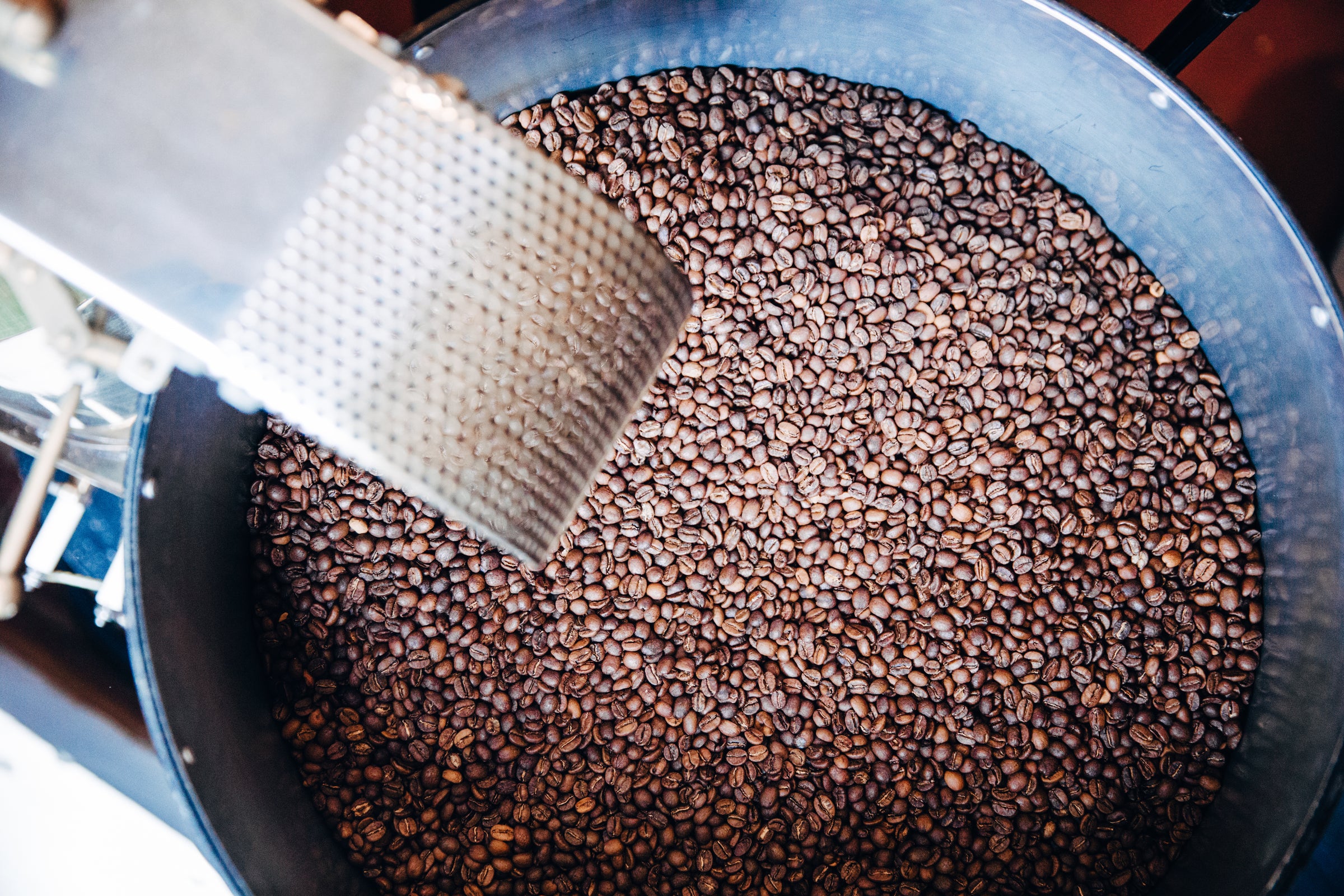 Grains de café torréfiés dans le réservoir 