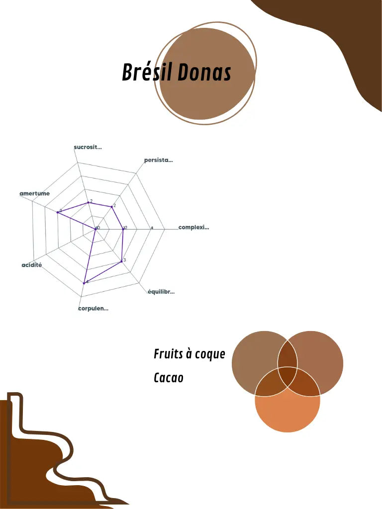Graphique du profil aromatique du Brésil Donas, détaillant les arômes principaux 