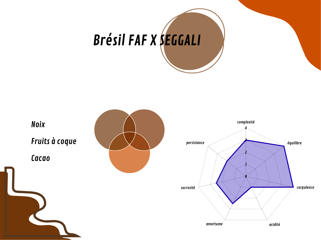 Brésil FAF x SEGGALI FCCO