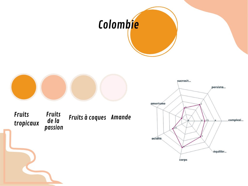 Graphique du profil aromatique du Colombie, détaillant les arômes principaux