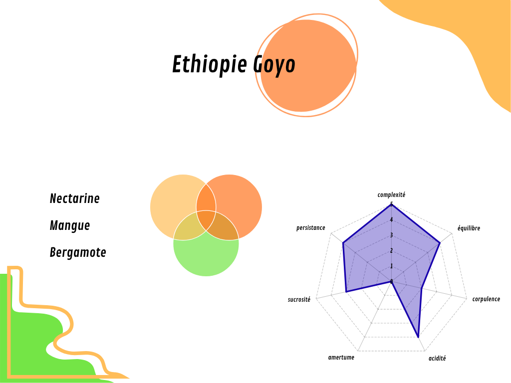 Éthiopie Goyo BIO