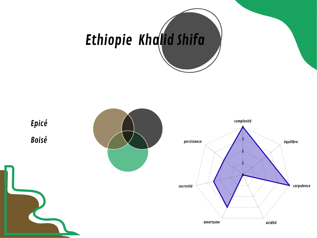 Éthiopie Khalid Shifa BIO