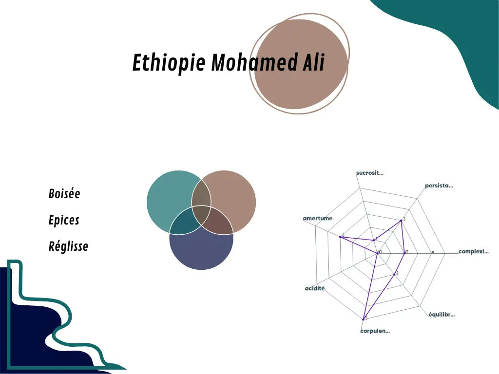 Graphique du profil aromatique de l’Éthiopie Mohamed Ali, détaillant les arômes principaux 