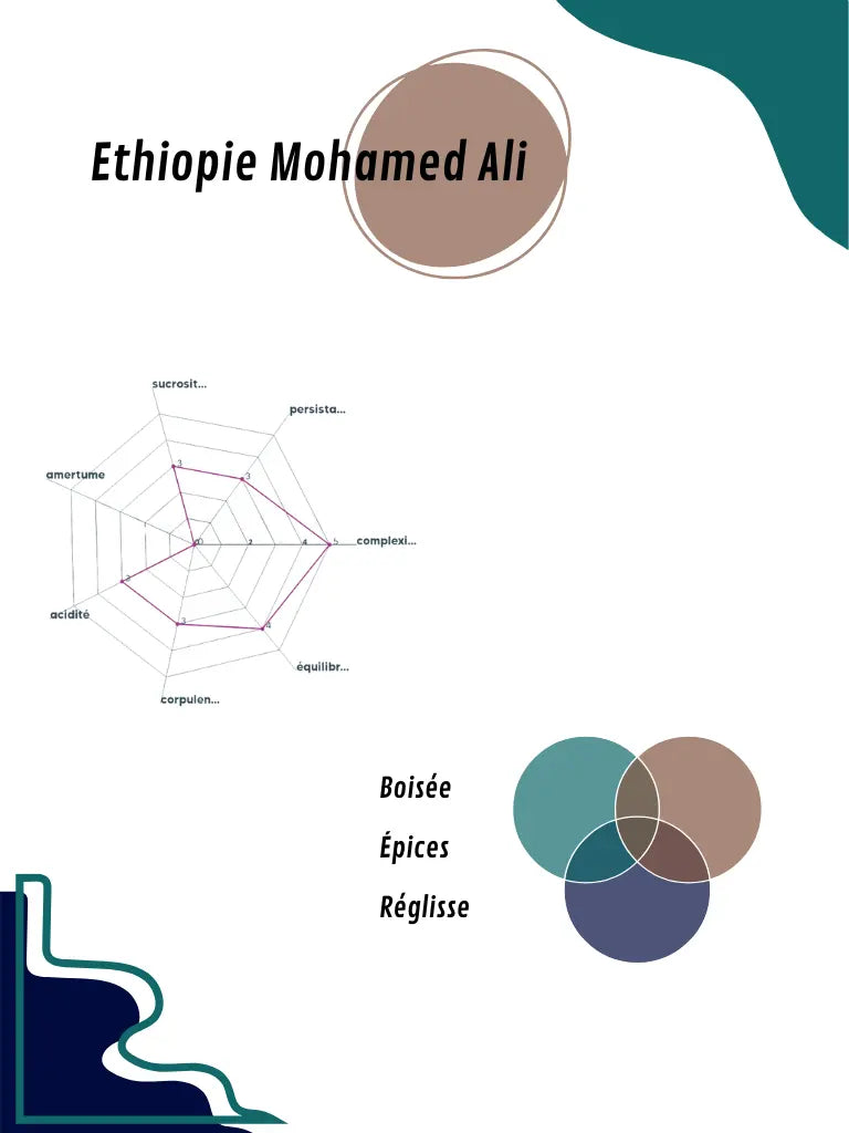 Graphique du profil aromatique de l’Éthiopie Mohamed Ali, détaillant les arômes principaux 