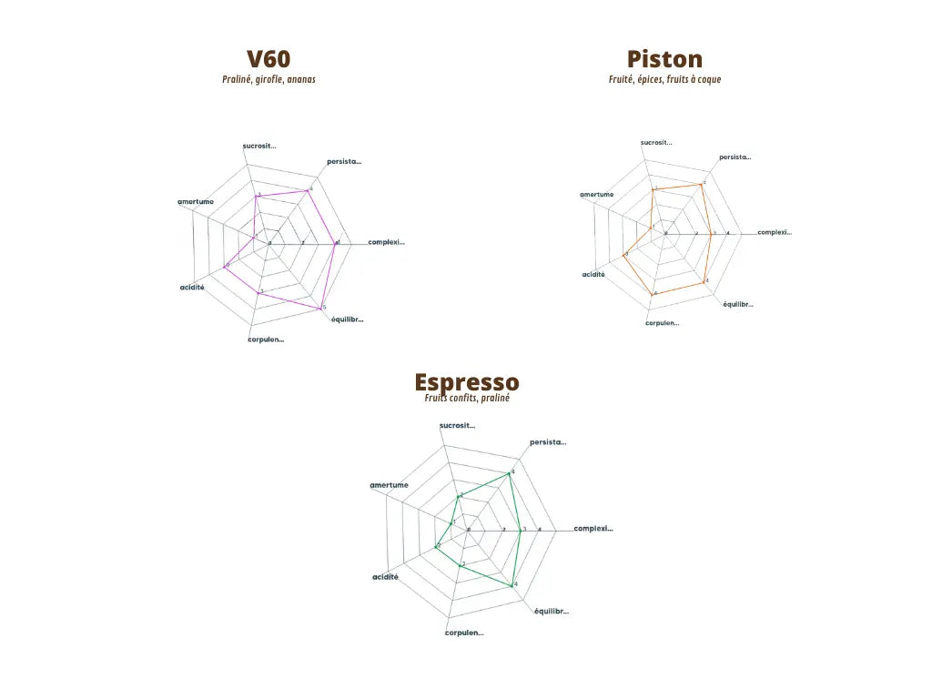 Graphique du profil aromatique du Blend-sur-Seine, détaillant les arômes par méthode