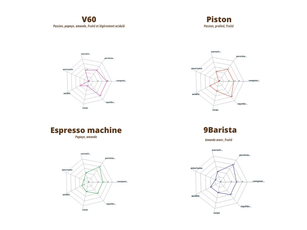 Graphique du profil aromatique du Colombie, détaillant les arômes par méthode