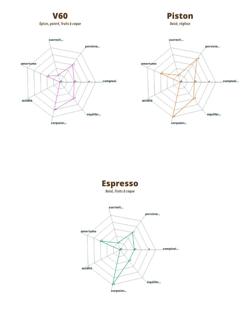 Graphique du profil aromatique de l’Éthiopie Mohamed Ali, détaillant les arômes par méthode