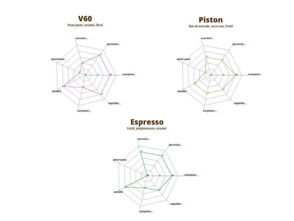 Graphique du profil aromatique du Guatemala Pampojila, détaillant les arômes par méthode