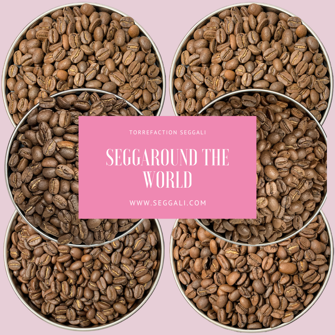 Seggaround The World